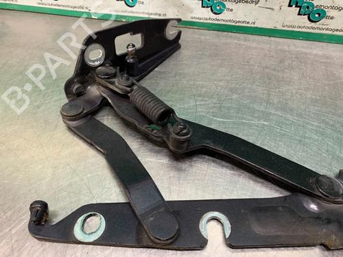 Hinge/Door check strap AUDI A6 C6 (4F2) 2.4 | BP19619415C146 