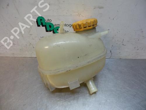 Used Expansion tank OPEL COMBO Box Body/MPV 1.3 CDTI 16V (75 hp) 19599921