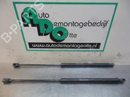 Used Tailgate lift support FIAT PUNTO EVO (199_) 1.4 (199AXB1A) (77 hp) 19611613