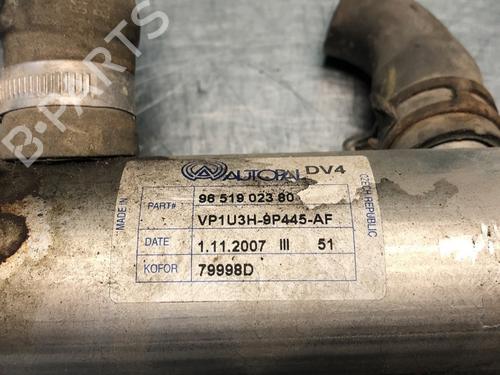 Egr CITROËN NEMO Box Body/MPV (AA_) 1.4 HDi | BP30960285M69