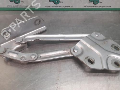 Hinge/Door check strap VW TOURAN (1T1, 1T2) 1.6 FSI | BP19616139C146 