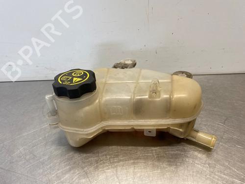 Used Expansion tank CHEVROLET AVEO Saloon (T300) 1.2 (86 hp) 30167729