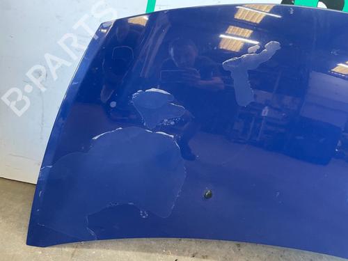 Hood RENAULT CLIO III (BR0/1, CR0/1) 1.2 16V (BR0R, BR1D, BR1L, CR0R) | BP19619907C1 