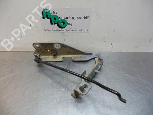Used Hinge/Door check strap CITROËN C3 I (FC_, FN_) 1.4 i (73 hp) 19598170