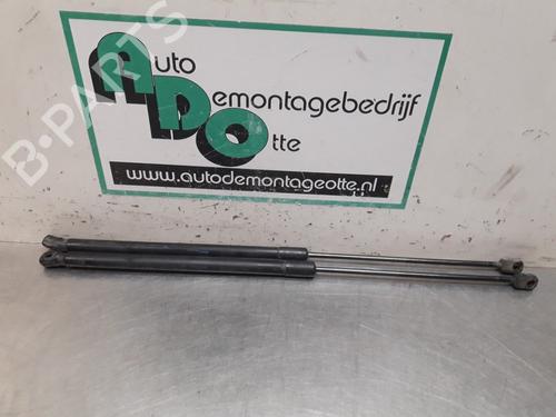 Used Tailgate lift support OPEL CORSA D (S07) 1.3 CDTI (L08, L68) (75 hp) 19614627