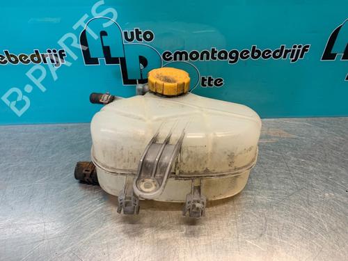 Used Expansion tank OPEL CORSA D (S07) 1.3 CDTI (L08, L68) (90 hp) 19624266