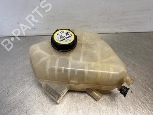 Used Expansion tank FORD FIESTA VI (CB1, CCN) 1.25 (82 hp) 29626440
