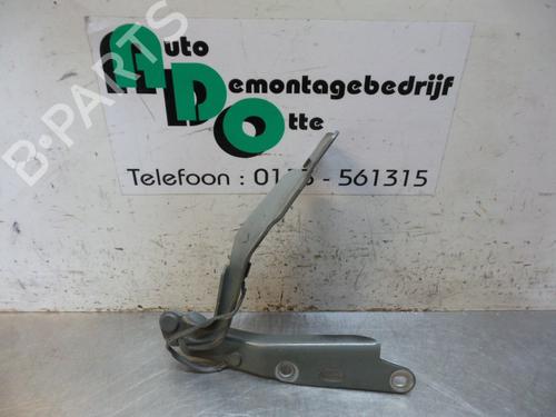 Used Hinge/Door check strap JAGUAR S-TYPE II (X200) 2.5 V6 (200 hp) 19597633