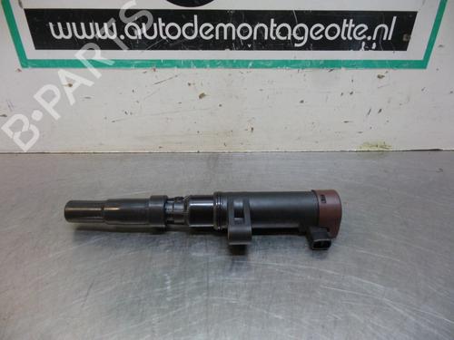 Used Ignition coil RENAULT CLIO III (BR0/1, CR0/1) 1.6 16V (BR05, BR0B, BR0Y, BR15, BR1J, BR1M, BR1Y, CR0B,... (112 hp) 19610530
