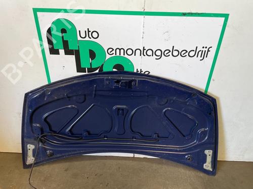 Hood RENAULT CLIO III (BR0/1, CR0/1) 1.2 16V (BR0R, BR1D, BR1L, CR0R) | BP19619907C1 