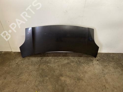 Capot Capot TOYOTA YARIS (_P9_) 1.33 VVT-i (NSP90_, NSP90R) (100 hp) 34100099 34100099