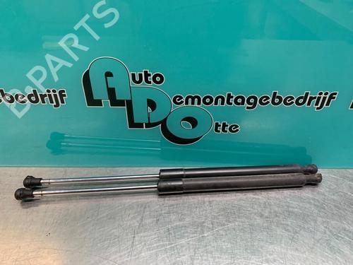 Used Tailgate lift support RENAULT CLIO III (BR0/1, CR0/1) 1.2 16V (BR0P, CR0P) (101 hp) 19622526