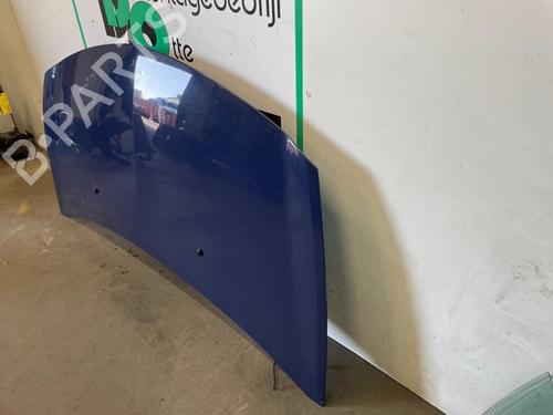Hood RENAULT CLIO III (BR0/1, CR0/1) 1.2 16V (BR0R, BR1D, BR1L, CR0R) | BP19619907C1 