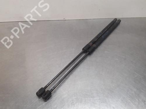 Tailgate lift support FORD FIESTA VI (CB1, CCN) 1.25 | BP19614854C138 