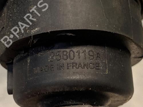 Elektronisk sensor RENAULT TWINGO II (CN0_) 1.2 (CN0D) | BP28299879M84 