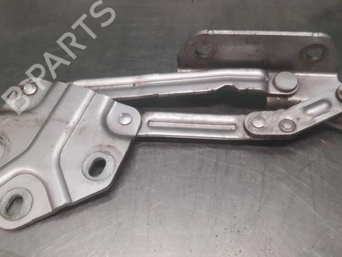 Hinge/Door check strap VW TOURAN (1T1, 1T2) 1.6 FSI | BP19616139C146 