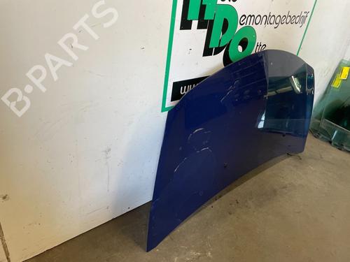 Hood RENAULT CLIO III (BR0/1, CR0/1) 1.2 16V (BR0R, BR1D, BR1L, CR0R) | BP19619907C1 