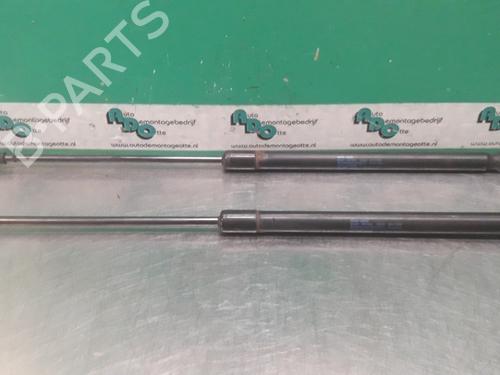 Used Tailgate lift support VW POLO (9N_, 9A_) 1.9 TDI (101 hp) 19616503