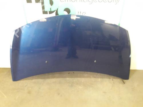 Used Hood RENAULT CLIO III (BR0/1, CR0/1) 1.4 16V (98 hp) 19614953