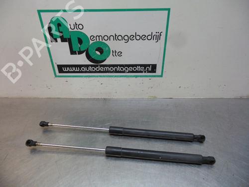 Used Tailgate lift support RENAULT CLIO III (BR0/1, CR0/1) 1.6 16V (BR05, BR0B, BR0Y, BR15, BR1J, BR1M, BR1Y, CR0B,... (112 hp) 19610500