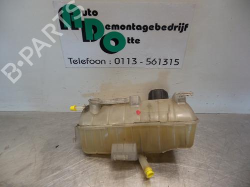 Used Expansion tank RENAULT KANGOO Express (FW0/1_) 1.5 dCi 70 (FW0A, KW0V) (68 hp) 19590078