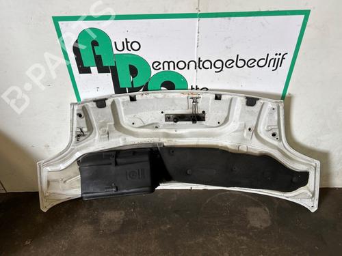 Hood OPEL VIVARO A Van (X83) 1.9 DTI (F7) | BP19628904C1