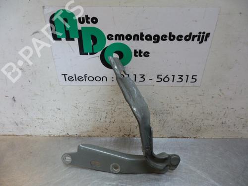 Hinge/Door check strap JAGUAR S-TYPE II (X200) 2.5 V6 | BP19597634C146 
