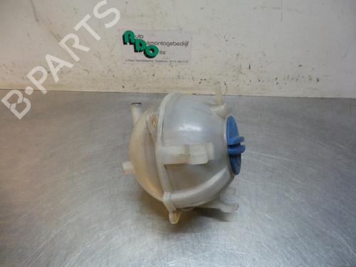 Expansion tank VW CADDY III Box Body/MPV (2KA, 2KH, 2CA, 2CH) 2.0 SDI | BP19600684C120