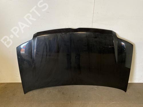 Motorkap Motorkap FIAT PANDA (169_) 1.2 4x4 (169.AXB2A) (60 hp) 36966020 36966020