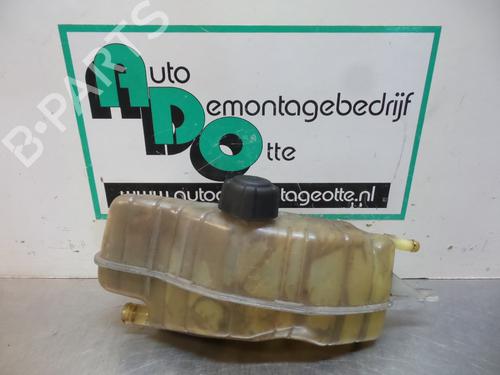 Expansion tank RENAULT CLIO III (BR0/1, CR0/1) 1.6 16V (BR05, BR0B, BR0Y, BR15, BR1J, BR1M, BR1Y, CR0B,... | BP19610519C120 