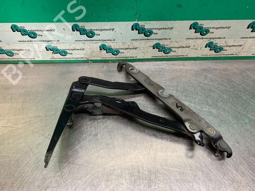 Hinge/Door check strap AUDI A6 C6 (4F2) 2.4 | BP19619415C146 
