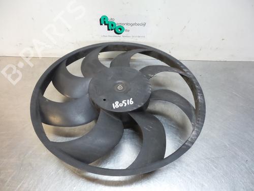 Used Radiator fan FIAT DOBLO Cargo (263_) 1.3 D Multijet (90 hp) 19598603