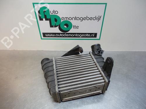 Used Intercooler VW POLO (9N_, 9A_) 1.4 TDI (70 hp) 19605137