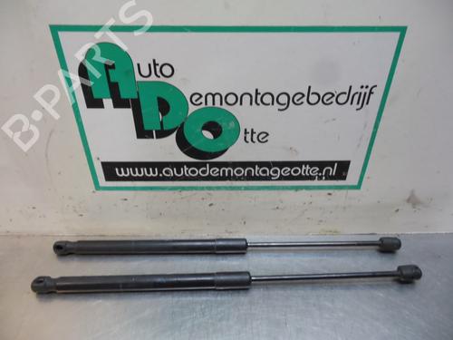 Used Tailgate lift support RENAULT MEGANE III Grandtour (KZ0/1) 1.5 dCi (KZ0C, KZ1A) (90 hp) 19610885