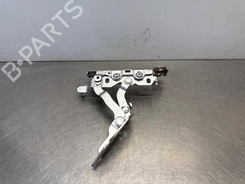 Hinge/Door check strap MERCEDES-BENZ C-CLASS (W204) C 200 Kompressor (204.041) | BP29056533C146 