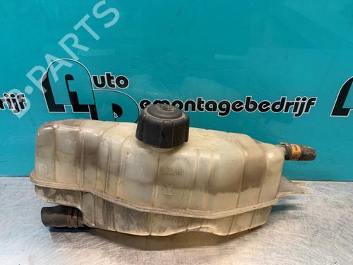 Used Expansion tank RENAULT CLIO III (BR0/1, CR0/1) 1.2 16V (BR0R, BR1D, BR1L, CR0R) (65 hp) 19627093