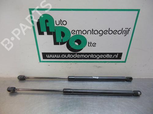 Tailgate lift support NISSAN MICRA III (K12) 1.2 16V | BP19607668C138 