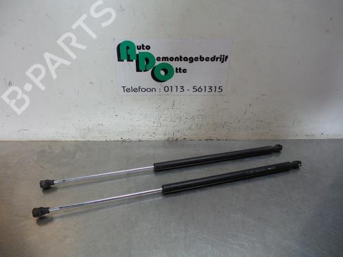 Tailgate lift support PEUGEOT 807 (EB_) 2.2 HDi | BP19595754C138 