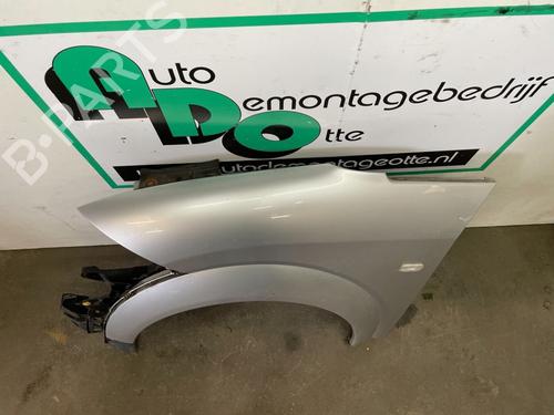 Left front fenders AUDI A2 (8Z0) 1.4 | BP19620561C41 