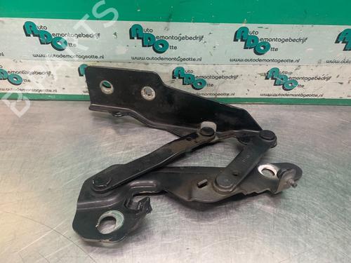 Used Hinge/Door check strap DODGE CALIBER 1.8 (150 hp) 19620103