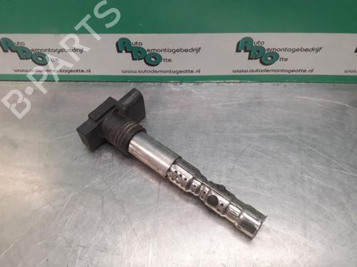 Used Ignition coil VW FOX Hatchback (5Z1, 5Z3, 5Z4) 1.2 (55 hp) 19614999