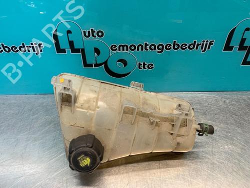 Used Expansion tank RENAULT KANGOO Express (FW0/1_) 1.5 dCi 75 (FW07, FW10, FW04) (75 hp) 19624091