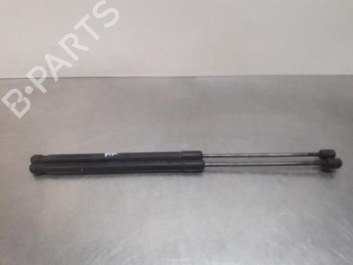 Used Tailgate lift support FORD FIESTA VI (CB1, CCN) 1.25 (60 hp) 19614854