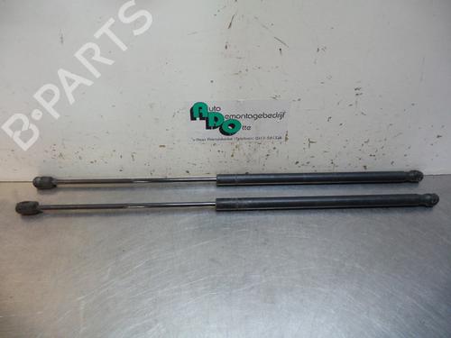 Used Tailgate lift support FORD FIESTA V (JH_, JD_) 1.25 16V (70 hp) 19604285