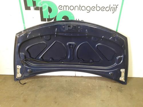 Hood RENAULT CLIO III (BR0/1, CR0/1) 1.4 16V | BP19614953C1 