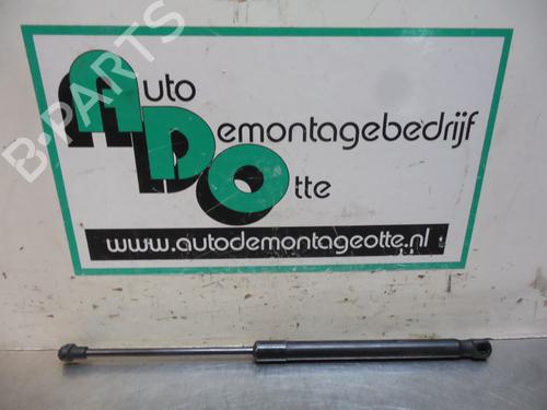 Used Hood lift support VW CADDY III Box Body/MPV (2KA, 2KH, 2CA, 2CH) 1.9 TDI (105 hp) 19611579