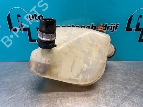 Used Expansion tank RENAULT TWINGO II (CN0_) 1.2 (CN0D) (58 hp) 28299574