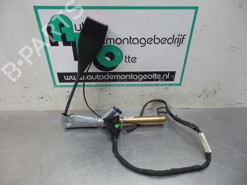 Used Front left belt tensioner RENAULT MEGANE II (BM0/1_, CM0/1_) 1.4 16V (BM0B, CM0B) (98 hp) 19613463