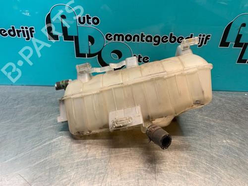 Expansion tank RENAULT KANGOO Express (FW0/1_) 1.5 dCi 75 (FW07, FW10, FW04) | BP19624091C120