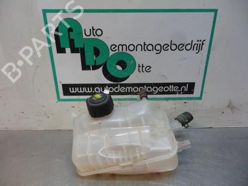 Used Expansion tank RENAULT MEGANE III Grandtour (KZ0/1) 1.5 dCi (KZ0C, KZ1A) (90 hp) 19610853